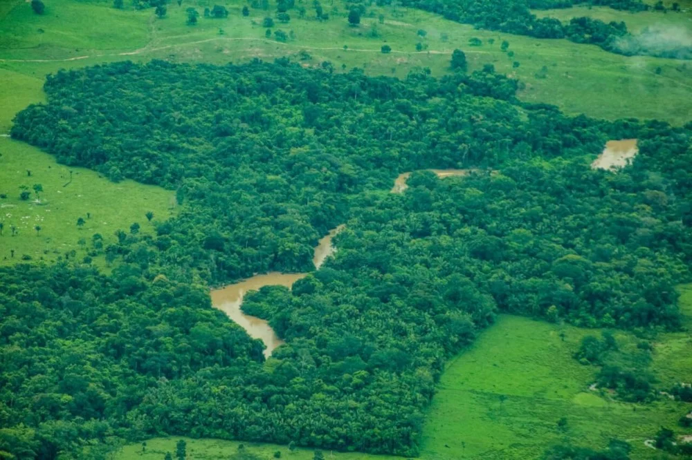 Governo diz que Rondônia reduziu 35% o desmatamento entre agosto de 2024 a julho deste ano