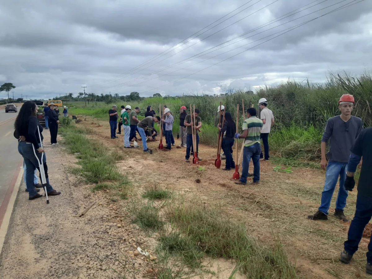 Ação conjunta promove plantio de mudas no antigo lixão em Ji-Paraná