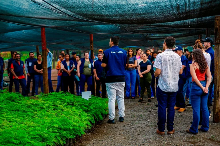 Semeia participa de qualificação que aborda produção de mudas, manejo de viveiros e recomposição ambiental